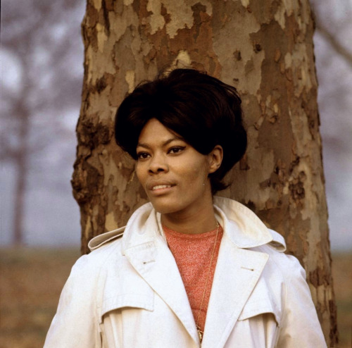 i-am-on-a-lonely-road:Dionne Warwick photographed by David Redfern in Hyde Park, London, 1965