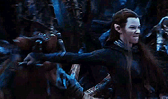  desolation of smaug + elves     