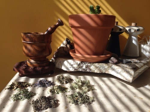 polar-solstice: kitchenwitchcraft: goodwitchyoga: A Good Witch Guide to Smoking Herbs! I’ve be