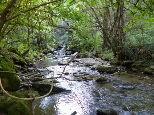 Riu de Pamano (Pallars Sobirà, Catalonia)