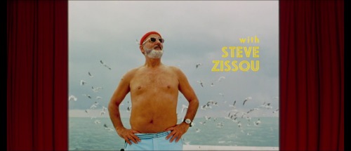 The Life Aquatic with Steve Zissou (2004)Directed by Wes AndersonCinematography by Robert D. Yeoman&