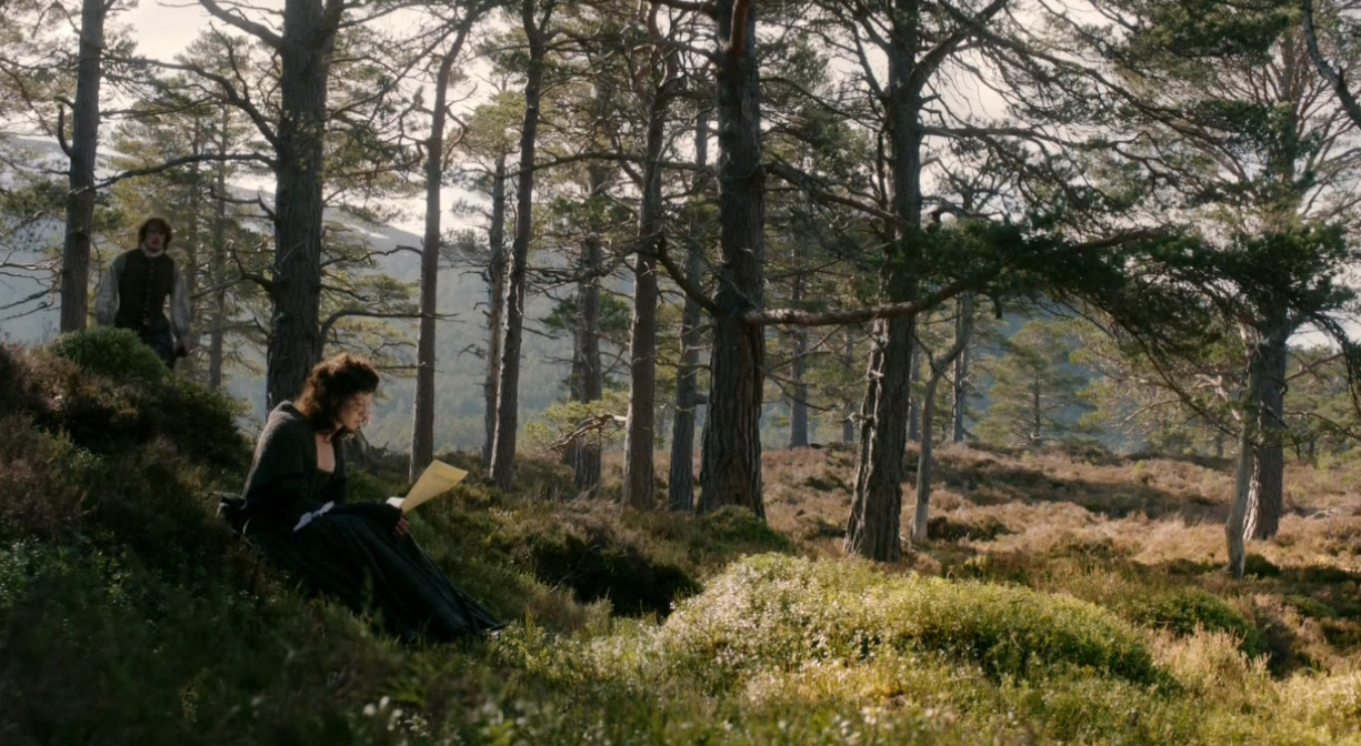 diana-gabaldon:  Claire and Jamie. Discussions of marriage and virginity. 
