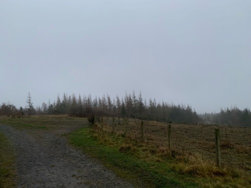 Silent Hill Vibes On My Walk Today