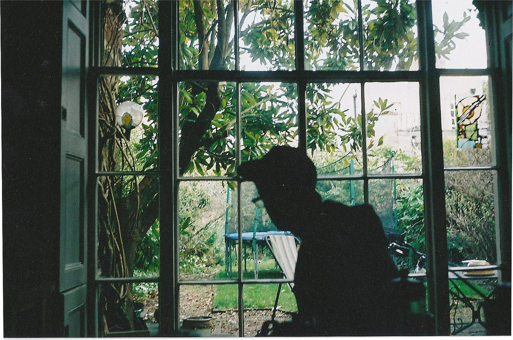 brutalgeneration:  (by Homer’s Oddities) 
