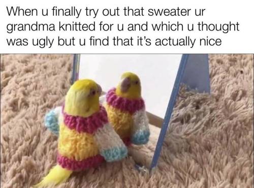 Wholesome Birb