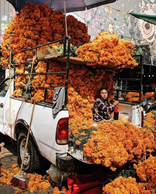 vivalatinamerica: Mexico City, Mexico | Joseph Owen Marigolds for Día de los Muertos at El Mercado de Jamaica in Mexico City. 