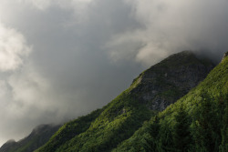 photosofnorwaycom:  Green Hills by eriknst Lofoten http://ift.tt/2wFba2X