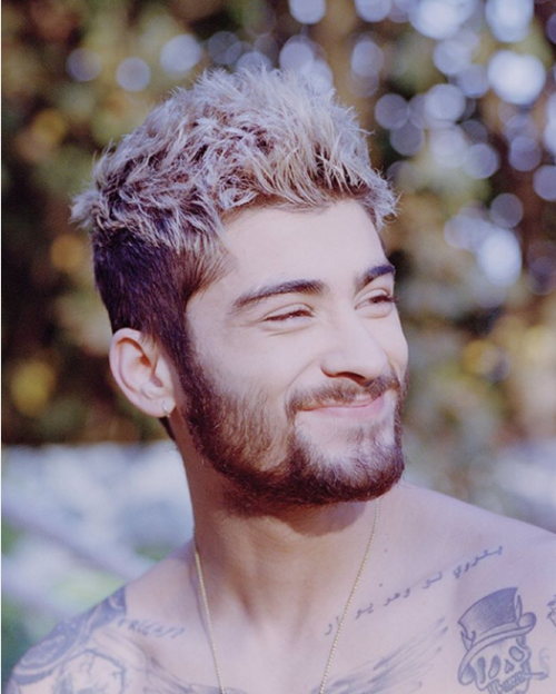 zayndele: i cant believe this 