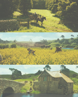 zmaug:  Gandalf and Frodo’s ride through The Shire.
