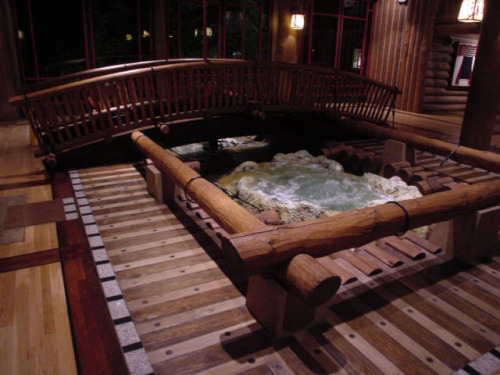 disney’s wilderness lodge, august 2001