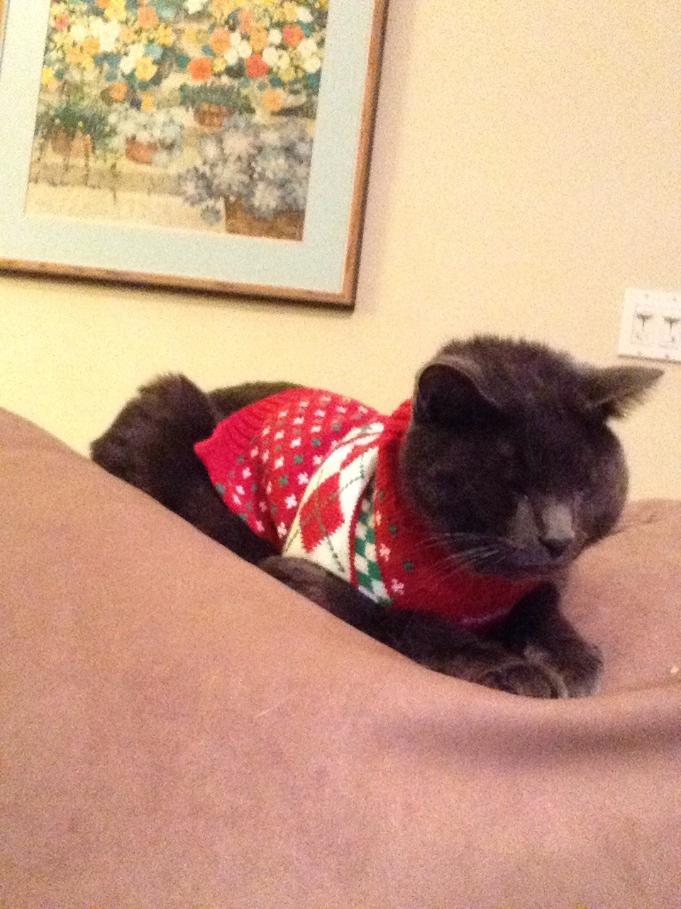 His sweater last year was too tight so we bought him a snowman outfit that is sized