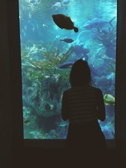 thewrongcoast:  I saw the prettiest tropical fish today and she was standing outside of the tank