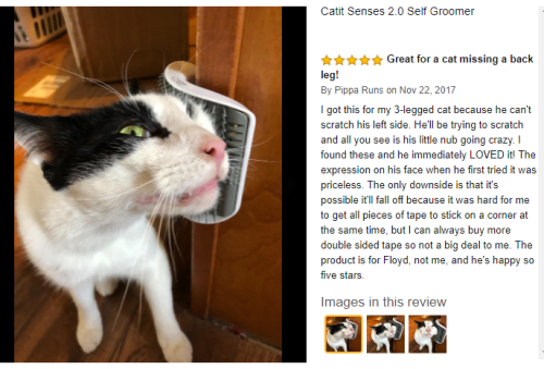 raysipe1: chemicalkin: I’m not over this review of a self groomer for a three legged cat. Look at hi