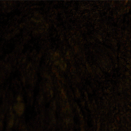 @gameofthronesdaily S HotD Season 2 Appreciation WeekDay 1: Dragon(s) - Vermithor