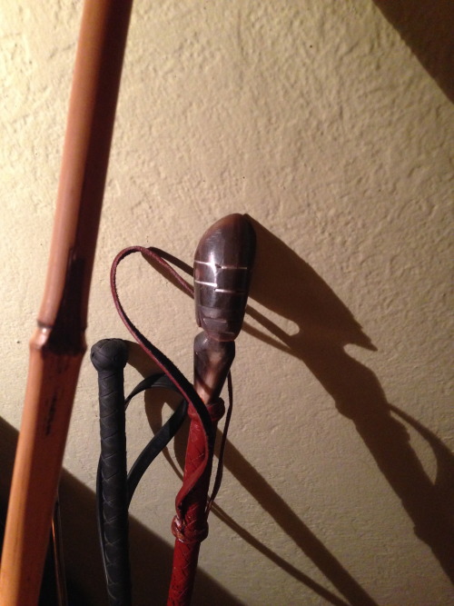 tetrussdungeonbondagesexrig:  Owned Tetruss