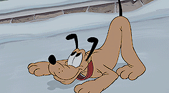 disneygoldmine:  One time a year, there’s a marvelous night, when enchantment and