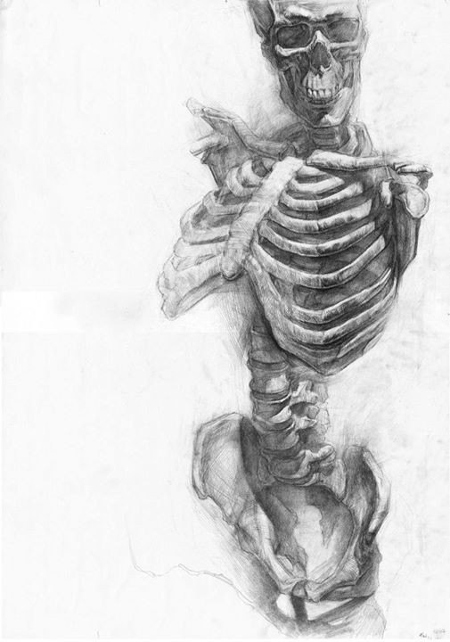 cross-connect:  Skeleton drawings by Paul Schwarz These Skeletons and Drawings were