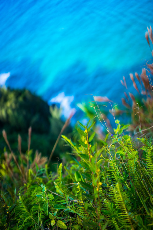 noodlesandbeef:  Kalalau trail to Hanakapiai falls. 8 miles roundtrip. The most beautiful hike I’ve ever completed. Breathtaking views every step, challenging terrain, and a 300-foot-tall waterfall with swimming hole at the end. Amazing.