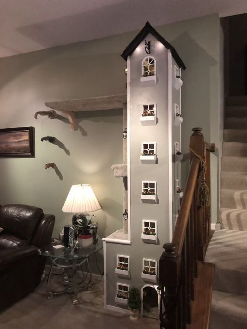 amazingpetenclosures:This man built an amazing set of towers for his cats, and there’s talk of him p