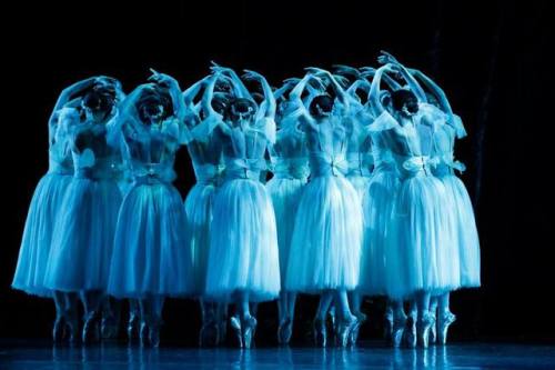 galina-ulanova:Giselle (The Australian Ballet, 2015)