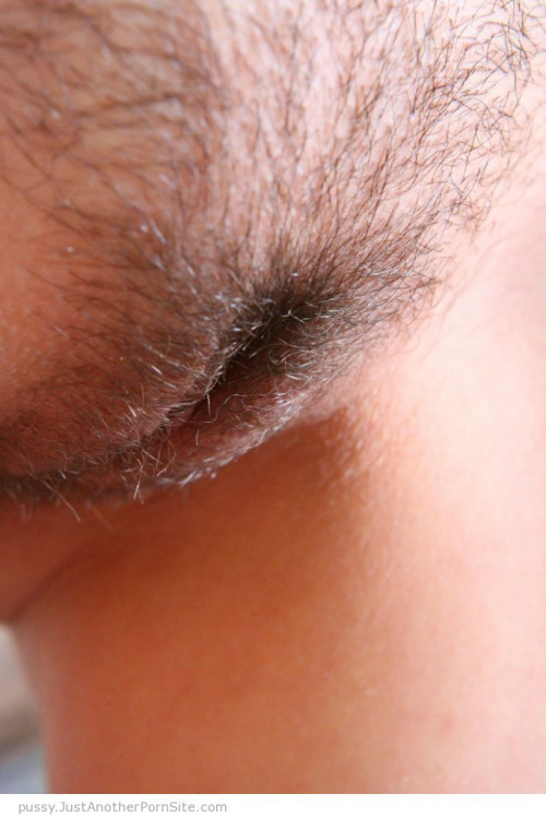 hairypussiesmylove:  More Awesome Pubes HERE