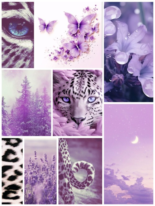 Moodboard Maker Services :D