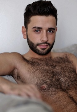 Hairy Armpits Dudes Addict