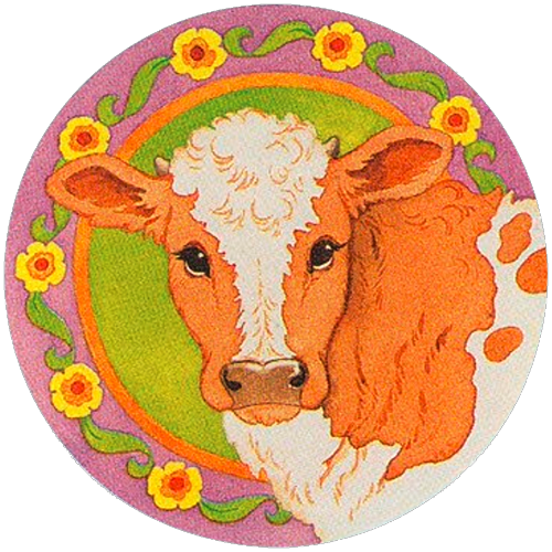 transparentstickers:A farm life sticker featuring a brown and white cow looking at the viewer with a