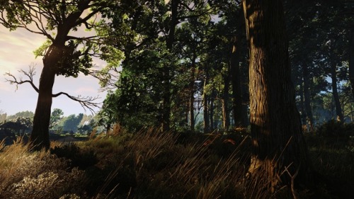 gaming screenshot