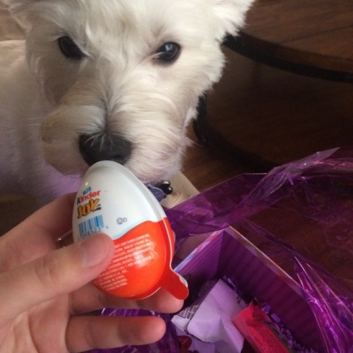 Piper was this year’s Easter basket inspection specialist.
