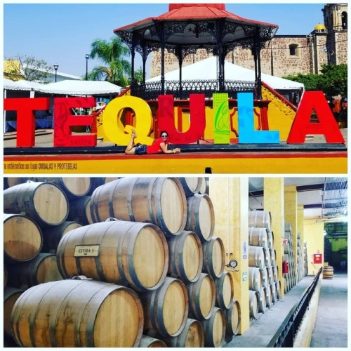 &ldquo;Tequila&rdquo; un pueblo magico de #Mexico. #josecuervo #bebidatipica#Tequila #placeresdevia