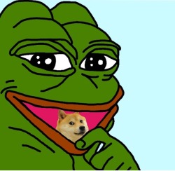 pepe-leaker:  my sister made this Pepe…..