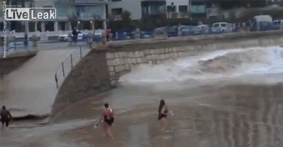 jcoleknowsbest:  onlylolgifs:  respect the ocean  now why would you be there?