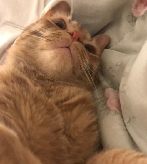 He smells like ass juice