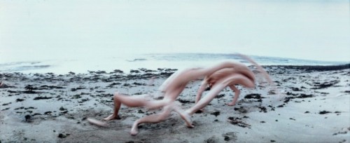 razorshapes:Frédéric Fontenoy - Métamorphose