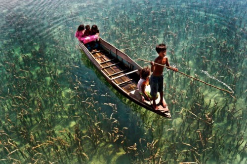 Crystal clear lake in Sabah, Malaysia