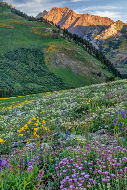 effervescentvibes:stonedpiixie:themountainsare:Wasatch Mountains of Utah by Douglas Pulsipherॐs