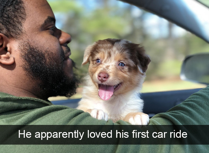 babyanimalgifs:  Dog snapsvia @animalsnaps