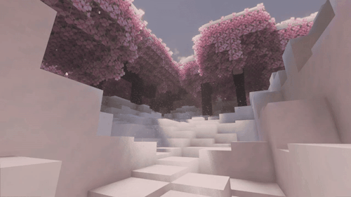 Winter Blossoms 2