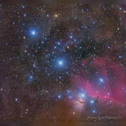 Alnitak, Alnilam, Mintaka #nasa #apod #stars