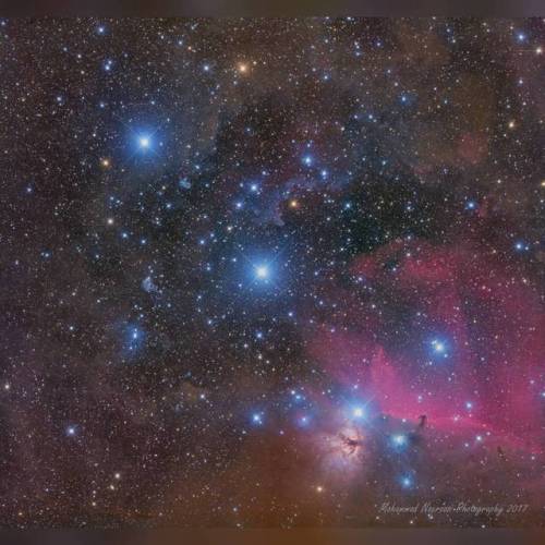Alnitak, Alnilam, Mintaka #nasa #apod #stars #alnitak #alnilam #mintaka #star #beltoforion #bluesupergiant #gas #dust #clouds #orion #horseheadnebula #flamenebula #orionnebula #interstellar #milkyway #galaxy #space #science #astronomy