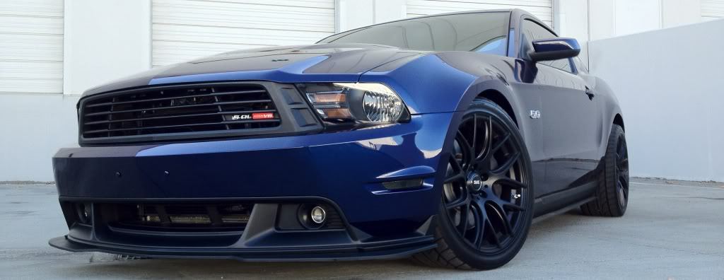 JUST THE COOLEST MUSTANGS