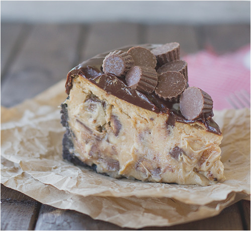 fullcravings:  Reeses Peanut Butter Cheesecake porn pictures