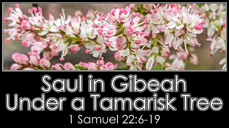Saul in Gibeah Under a Tamarisk Tree (1 Samuel 22:6-19)