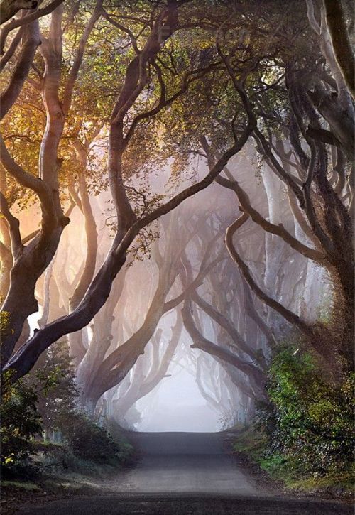 voiceofnature:  Photography of Scotland and Ireland by Stephen Emerson