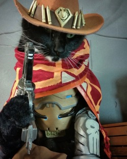 cat-cosplay:  “Justice ain’t gonna dispense