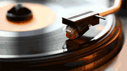 doxiesplaceintheworld:Vinyl