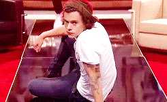 harrycmon:  &ldquo;You know, there’s not much not to love about Harry.&rdquo;
