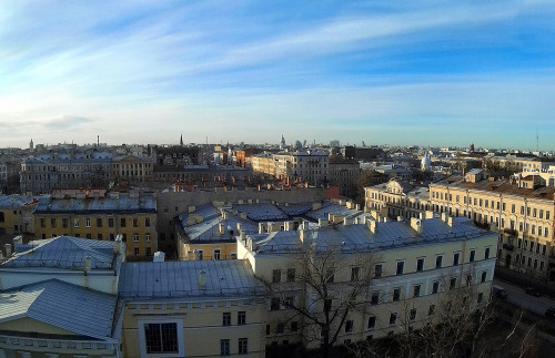 Petersburg through the eyes of summer birds.Ph:DanSpbinst: @danspbway