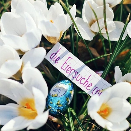 Happy Easter! Frohe Ostern! - happy Easter die Eiersuche - egg hunt . . . #dailydeutsch #learngerma
